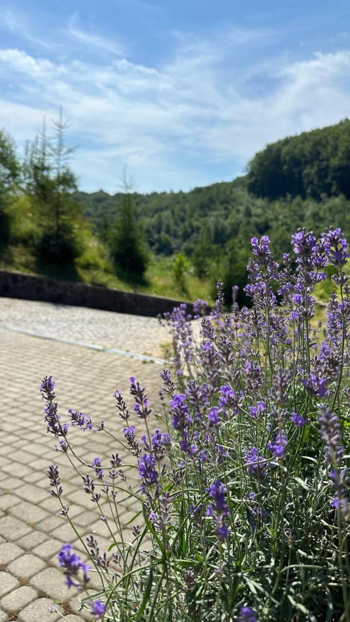 Panna Hotel Solociîn Exterior foto