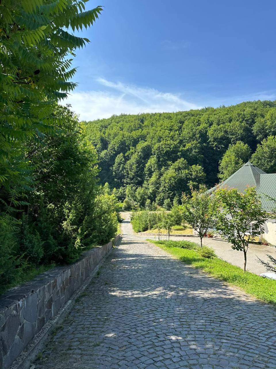 Panna Hotel Solociîn Exterior foto